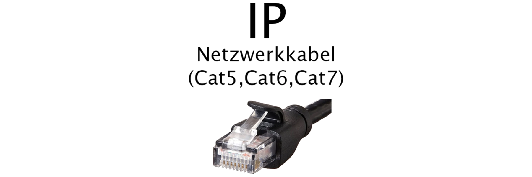 IP-Kameras / Netzwerkkameras