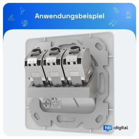 Anschlussdosen f&uuml;r Keystone Module 1/2/3-F&auml;cher 2 Farbe signalwei&szlig; (RAL 9003) 3 Port