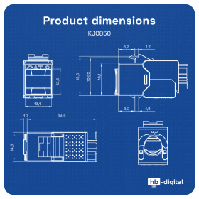 Netzwerkdose mit Cat 8 Keystone Module  signalwei&szlig; (RAL 9003) 3 Port