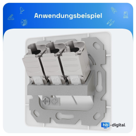 Netzwerkdose mit Cat 8 Keystone Module  signalwei&szlig; (RAL 9003) 3 Port