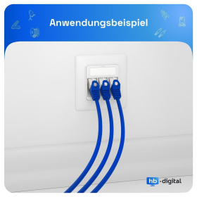 Netzwerkdose mit Cat 8 Keystone Module  signalwei&szlig; (RAL 9003) 3 Port